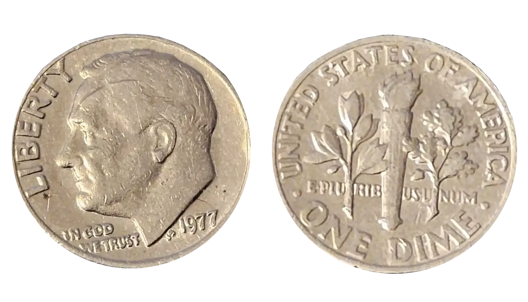 Group of 1977 Roosevelt dimes showing typical specimens from Philadelphia and Denver mints
